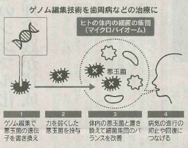 ゲノム医療歯周病 アトピーに 有限会社エフイス
